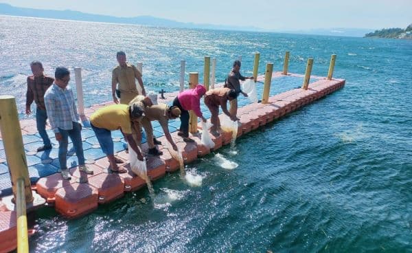 pemkab_dairi_tabur_ratusan_ribu_benih_ikan_di_danau_toba_silahisabungan