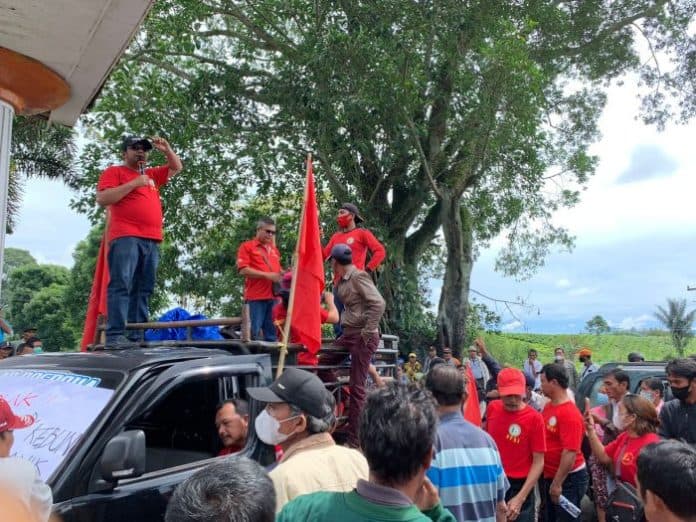pemkab_simalungun_belum_juga_bentuk_tim_kajian_konversi_teh_ke_sawit_di_sidamanik