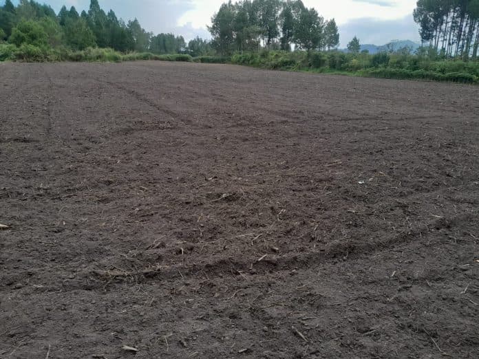 pemkab_taput_akan_bangun_lapangan_mini_di_desa_simamora_hasibuan_pagaran