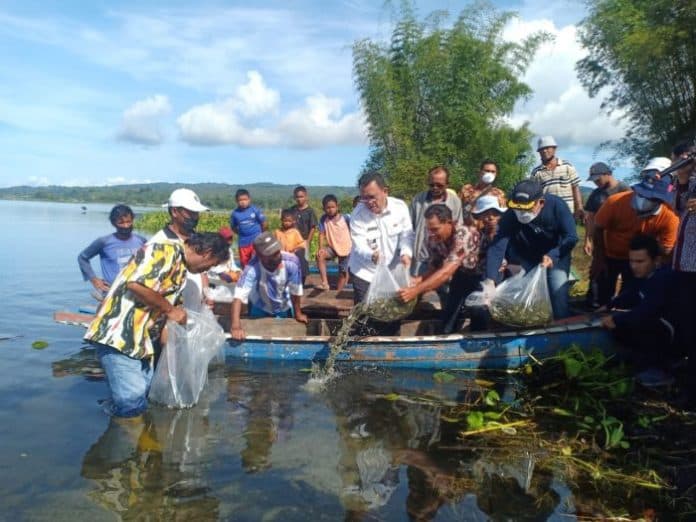 pemkab_toba_dan_rsi_bersinergi_kelola_keberlanjutan_sumber_daya_ikan_di_danau_toba