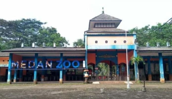 pemko_medan_dorong_pud_pembangunan_lakukan_terobosan_untuk_medan_zoo