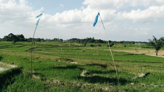 pemko_siantar_dinilai_tak_konsisten_lindungi_lahan_pertanian_begini_penjelasan_wali_kota