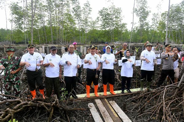 pemprov_sumut_tanam_10_ribu_bibit_mangrove_di_langkat