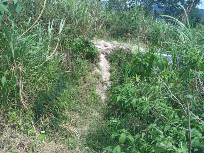 pemprovsu_diminta_perbaiki_irigasi_aek_siborgung_tarutung