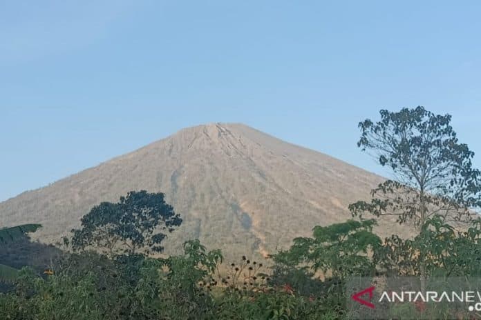 pendakian_gunung_rinjani_lombok_ditutup_akibat_kebakaran_hutan