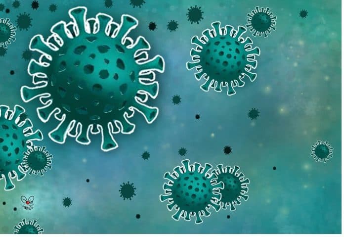 pendeta_terkonfirmasi_covid_19_meninggal_dunia_di_rsud_tarutung