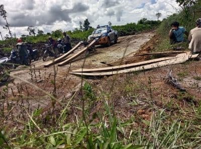 penebangan_kayu_di_lahan_konsesi_kabupaten_dairi_dipergoki_polisi