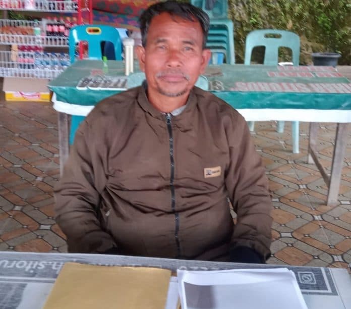 penebangan_pinus_di_marlumba_samosir_diminta_agar_disetop