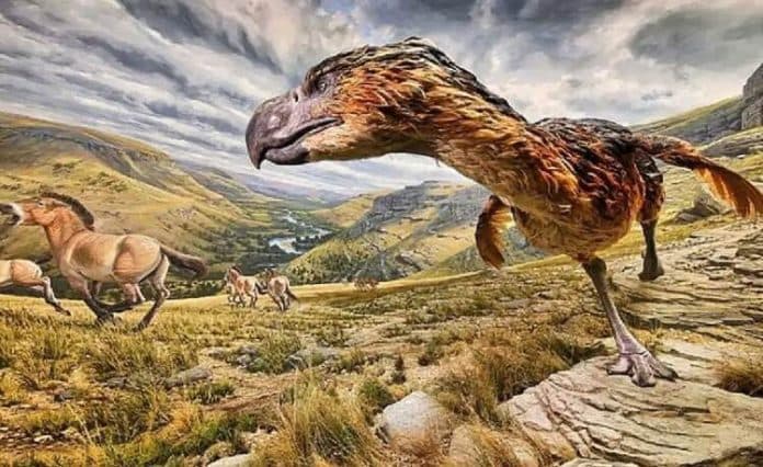penemuan_burung_teror_sebagai_predator_puncak_di_antartika