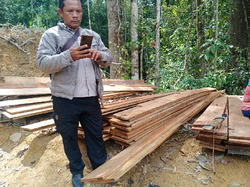 penemuan_ratusan_kayu_olahan_di_hutan_dairi_belum_ditindaklanjuti