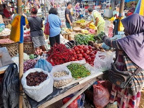 pengamat_pemerintah_harus_bergerak_cepat_respon_kenaikan_harga_pangan