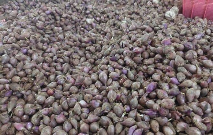 pengamat_perkirakan_harga_bawang_merah_naik_tajam_hanya_sesaat