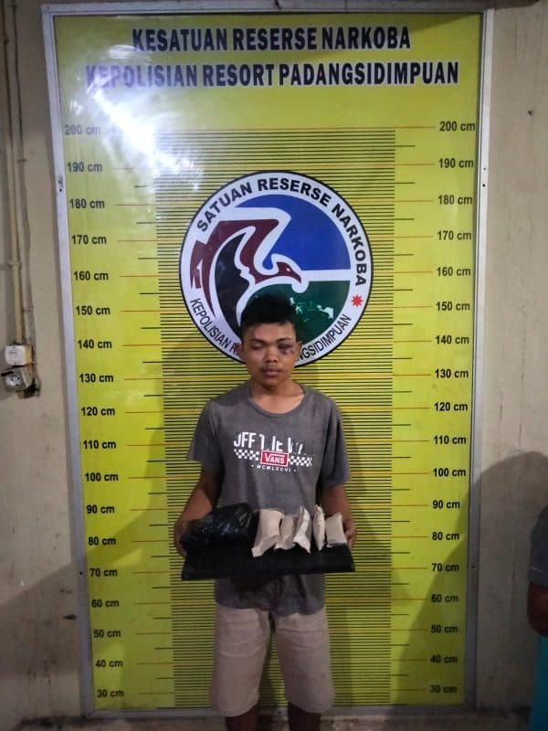 pengedar_ganja_diringkus_polres_padangsidimpuan