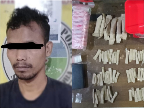 pengedar_narkoba_di_sei_bingei_langkat_diringkus_polres_binjai