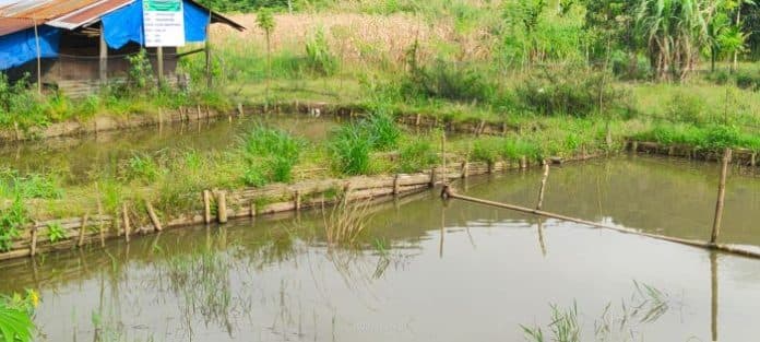penggunaan_dana_desa_longkotan_dairi_senilai_rp291_juta_diprotes