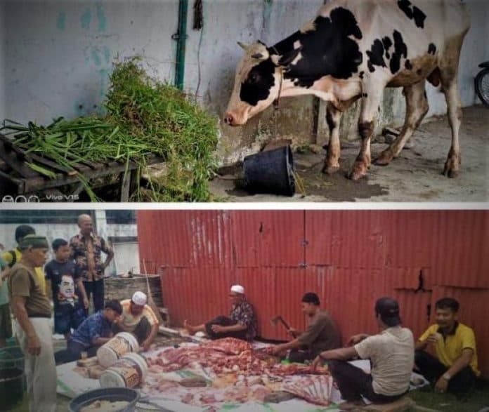 pengurus_persaudaraan_islam_kota_tebing_tinggi_salurkan_daging_sapi_kurban_dari_gubsu