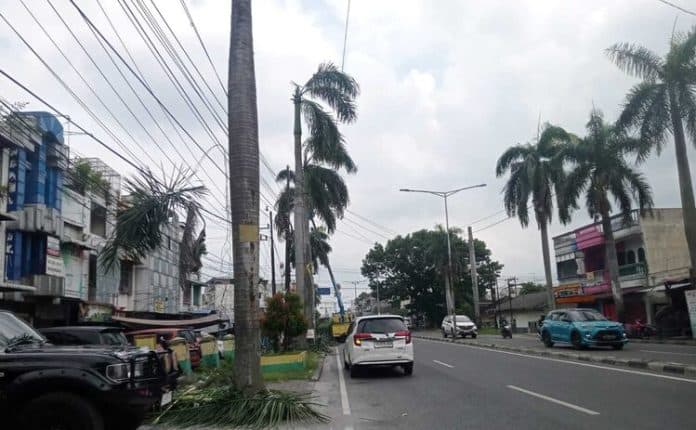 pengusaha_medan_keluhkan_pemeliharaan_pohon_siang_hari