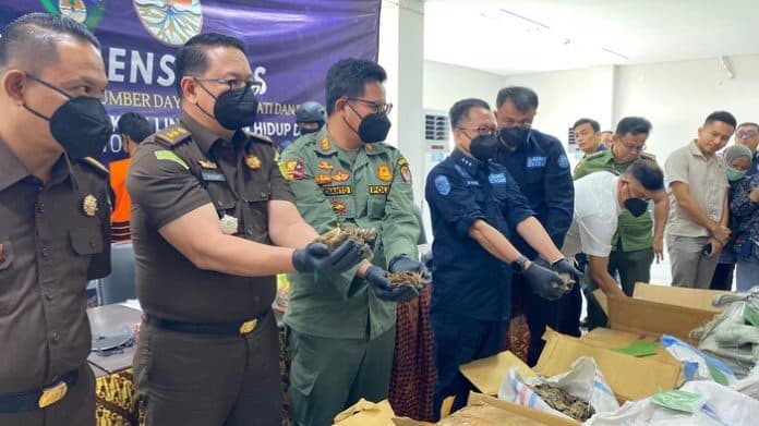 penindakan_terbesar_penjualan_1180_kg_sisik_trenggiling_di_kisaran_digagalkan