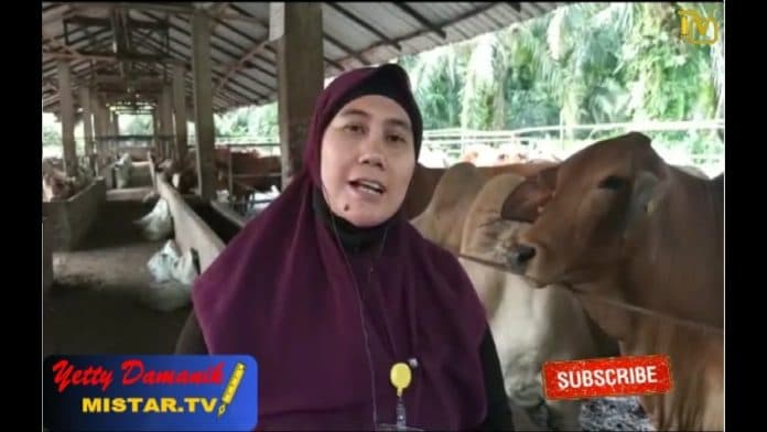 penjualan_hewan_untuk_kurban_mengalami_penurunan