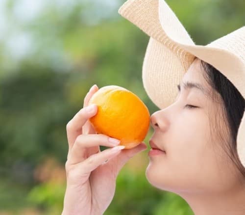 pentingnya_vitamin_c_agar_rambut_tumbuh_sehat