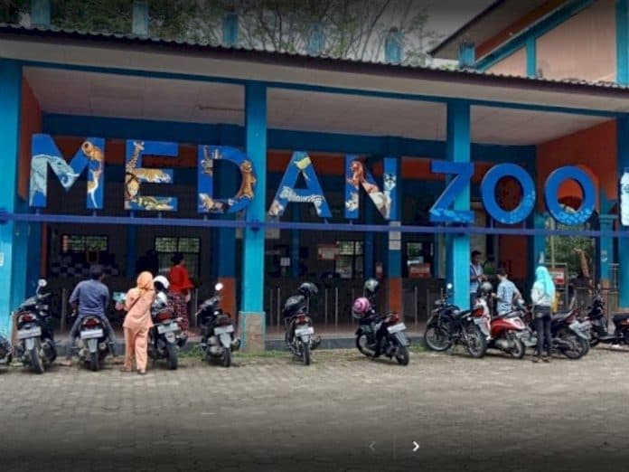 penutupan_medan_zoo_diperpanjang_hingga_14_juni