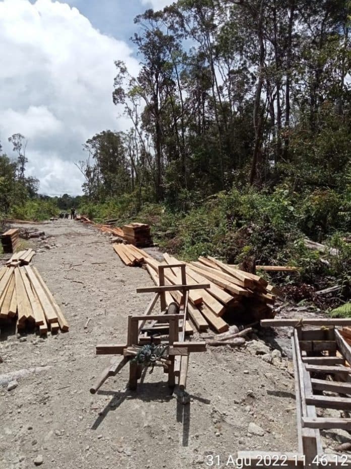 perambahan_hutan_dan_illegal_logging_di_dairi_diduga_libatkan_oknum_polisi