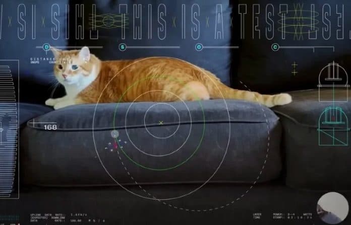 perdana_nasa_tampilkan_kucing_dari_luar_angkasa