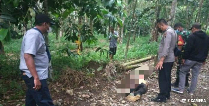 perkelahian_maut_dua_bersaudara_di_deli_serdang_abang_tewas_dibunuh_adik_kandung