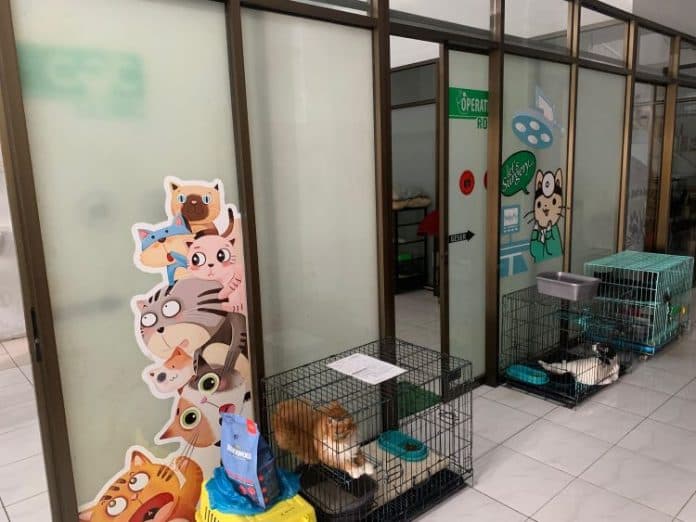 permintaan_jasa_titipan_hewan_meningkat_saat_libur_nataru