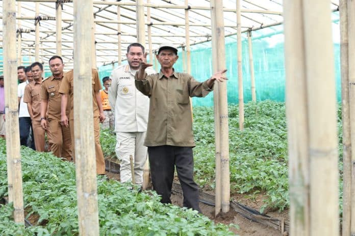 pertanian_sistem_hidroponik_mulai_dikembangkan_di_kuta_dame_pakpak_bharat