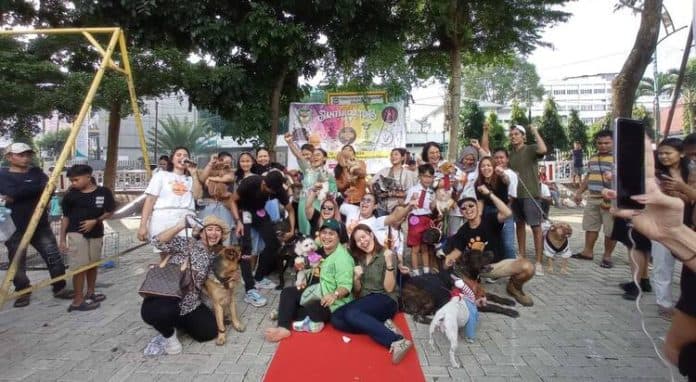 pertunjukan_anjing_curi_perhatian_pengunjung_siantar_culture_show_2024