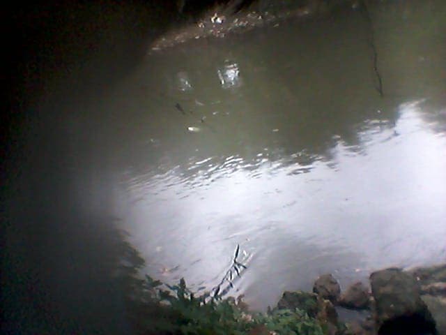 perusahaan_ini_diduga_buang_limbah_ke_sungai_deli