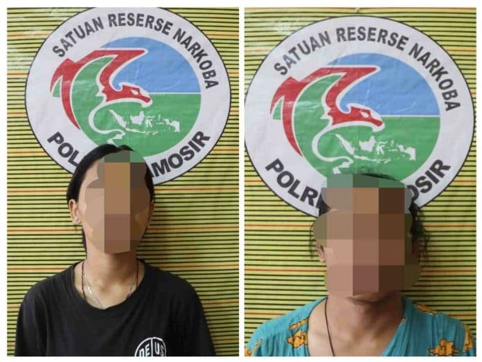 pesta_ganja_di_tenda_camping_12_orang_ditangkap_polres_samosir