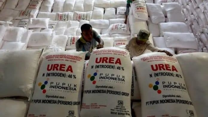 petani_bakal_terima_pupuk_subsidi_secara_langsung_mulai_2026