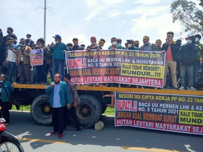 petani_tuntut_bupati_samosir_cabut_surat_penghentian_penyadapan_getah_pinus
