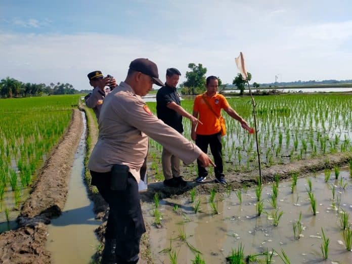 petani_warga_sei_bamban_sergai_ditemukan_meninggal_di_tengah_sawah