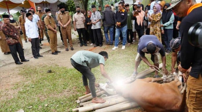 petugas_kebersihan_dan_anak_stunting_prioritas_penerima_daging_kurban_di_medan_johor