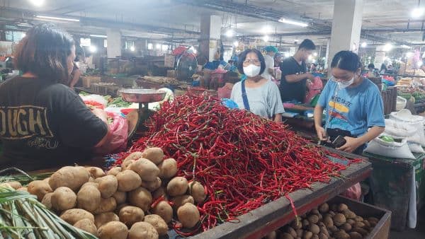 pilkada_tak_mampu_dongkrak_belanja_masyarakat_petani_cabai_malah_menderita