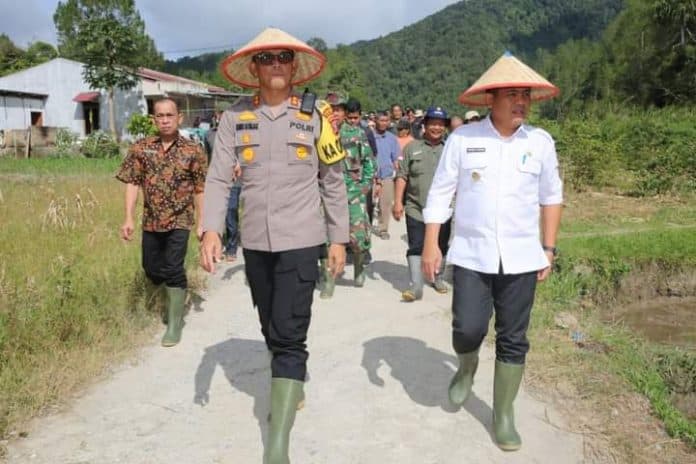 pj_bupati_taput_apresiasi_peningkatan_indeks_pertanaman_lahan_sawah