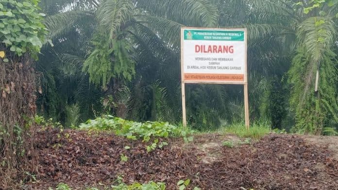plang_larangan_buang_sampah_di_kebun_tanjung_garbus_ptpn_iv_regional_ii_asal_letak