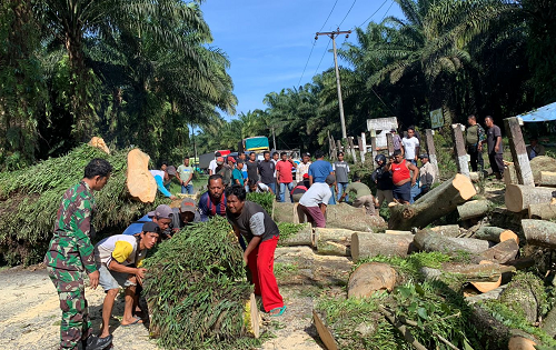 pohon_besar_di_marjandi_tumbang_jalan_saribudolok_macet_hingga_2_km