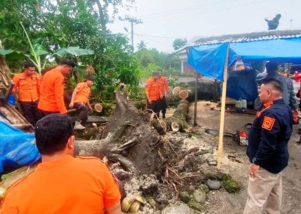 pohon_besar_tumbang_timpa_rumah_warga_di_jalan_makolan_binjai