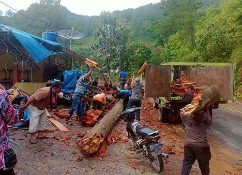 pohon_pinus_tumbang_menimpa_mobil_dan_rumah_makan_di_panatapan_parapat