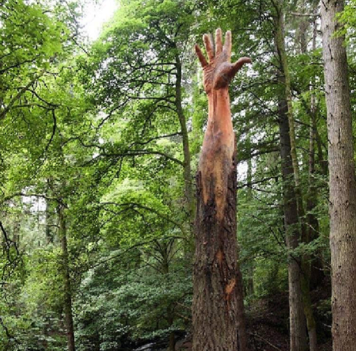 pohon_rusak_dikreasikan_menjadi_karya_seni_menggunakan_gergaji