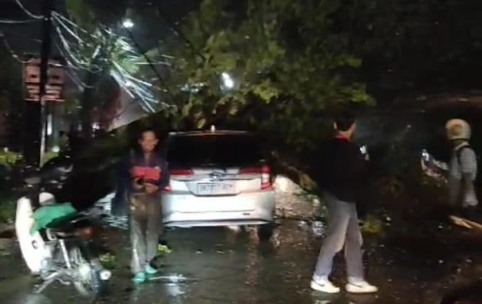 pohon_tumbang_di_jalan_brigjen_zein_hamid_timpa_mobil_sigra