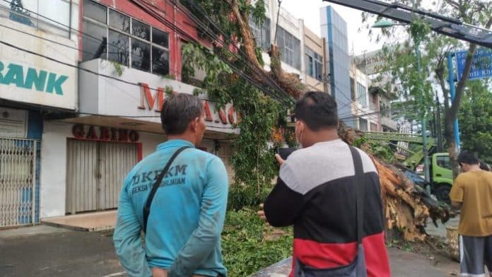 pohon_tumbang_di_jalan_gatot_subroto_medan_hantam_ruko