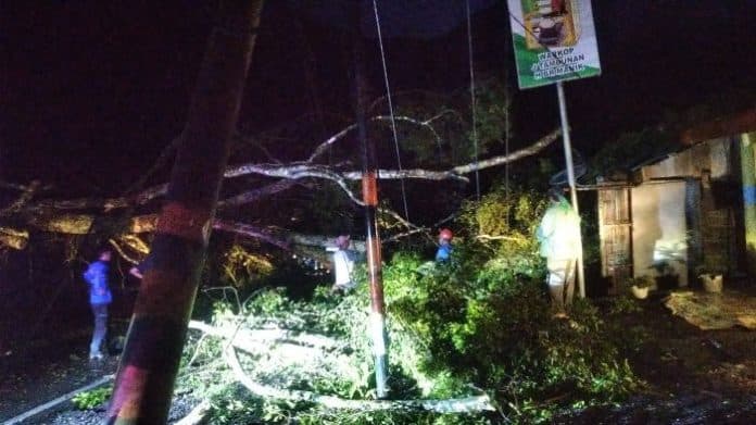 pohon_tumbang_jalur_siantar_parapat_sempat_lumpuh