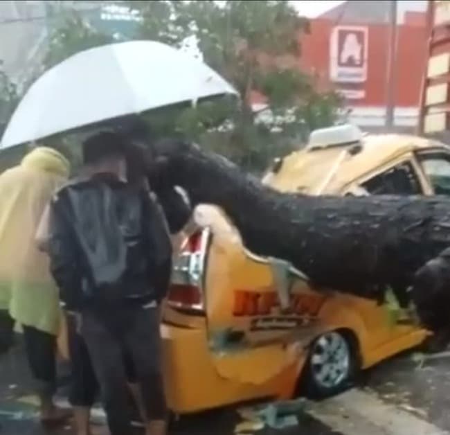 pohon_tumbang_timpa_angkot_di_depan_rs_adam_malik_medan_dua_orang_tewas