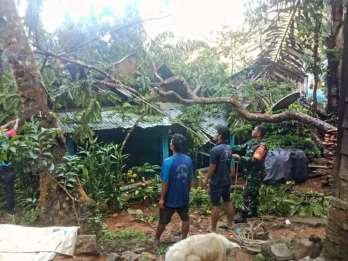 pohon_tumbang_timpa_rumah_warga_di_bair_tapteng