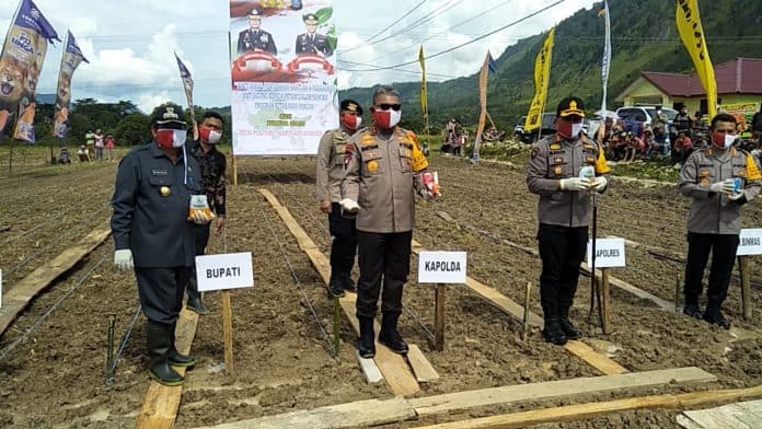 poldasu_bantu_450_kg_bibit_jagung_dan_5_ton_beras_ke_samosir